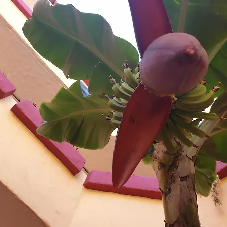 Marino Tenerife Apartahotel 4*